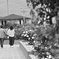 Walk holding hands 