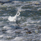 Water Dance