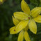_1040600_DxO