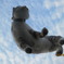 空中散歩その1