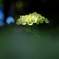 DSCF1520