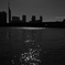 朝の光