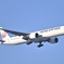 飛行機