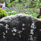 東京散策～葛飾区堀切菖蒲園11