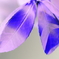 Light and shadow-908 reverse