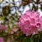 _7CR0941