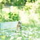 The Secret Garden*