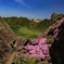 くじゅう連山を望む