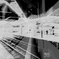 platform