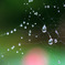 　　雨のあとに　