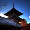 京都　真如堂