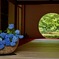 丸窓の向こうは