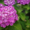 R0000487