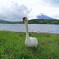白鳥さんに叱られた！
