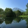 初夏の羊蹄姿見池