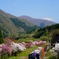 勝原駅DSC00978