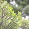 ぐるぐるぼけにならない