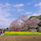 吉高の大桜