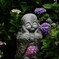 地蔵さんと紫陽花