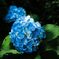 DSCF0781