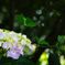 DSCF0790