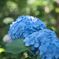 DSCF0821