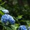 DSCF0831