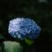 DSCF0833