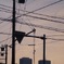 帰路