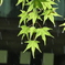 雨に濡れても