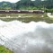 水無月の鉄道風景