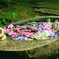 花手水