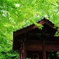 黒井城跡：赤と緑