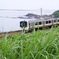 日本海沿いを走る