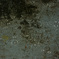 雨粒　6/11