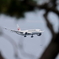 HANEDA