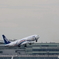 HANEDA