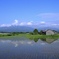 田んぼの風景