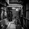 Kyoto snap 10