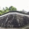 六月の円覚寺散策