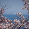 spring view