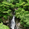 新緑の滝