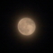 おぼろ月夜