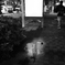 monochrome