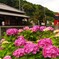 PKS_1700②