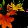 flower　ユリ