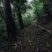 山道
