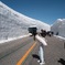 立山黒部アルペンルート　雪の大谷にて