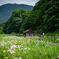 小屋