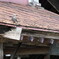 On the roof
